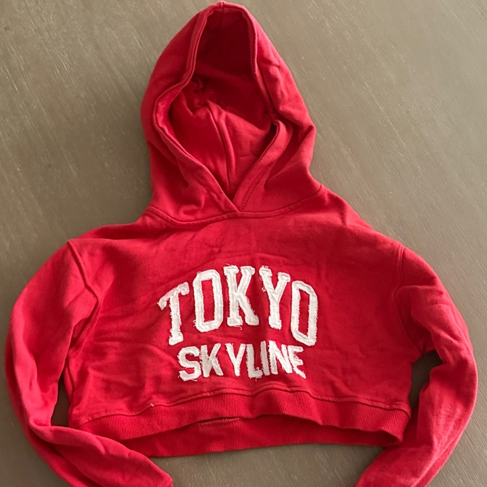 Zara Girls Cropped Hoodie Sweater